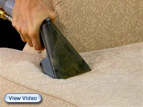 Where to rent Carpet Cleaner - Upholstery in Redwood City CA